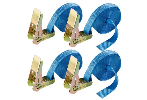 Arebos Spanngurt Zurrgurte mit Rasche 6m, 0,8T, 25mm 4er Pack oder 10er Pack (Set, 4-St)