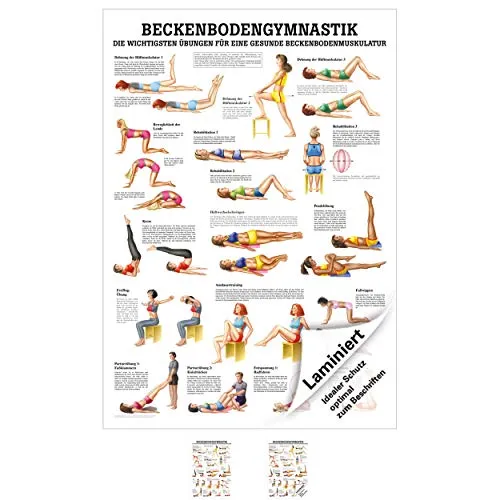 Produktbild Sport-Tec Beckenbodengymnastik Mini-Poster