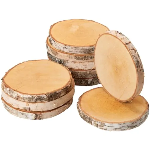 Baumscheiben 10 Stk. aus naturbelassenem Birkenholz - Vielseitige Holzscheiben zum Basteln und Dekorieren, ideal für Feste und kreative Projekte. Unbehandelt für eine natürliche Optik und individuelle Gestaltung.
