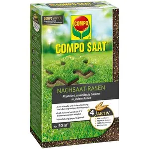 COMPO SAAT Nachsaat-Rasen, 1 kg für 50 m² - Gräsersamen & -pflanzen: Hochwertige Nachsaat-Mischung mit Keimbeschleuniger für schnelles Wachstum und dichte Rasenflächen, ideal zur Reparatur von Rasenlücken.