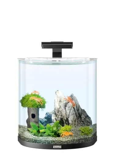 Tetra Explorer Line 30 L Aquarium Komplett-Set in schwarz von Tetra