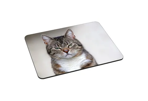 PEDEA Gaming Mauspad 22 cm x 18 cm mit Motiv (Größe L), mit vernähten Rändern und Rutschfester Unterseite