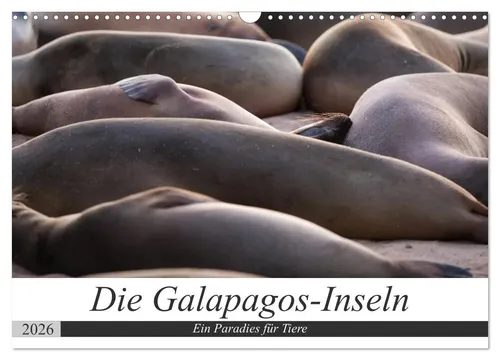 Jeanette Dobrindt | Galapagos-Inseln - Ein Paradies für Tiere (Wandkalender...