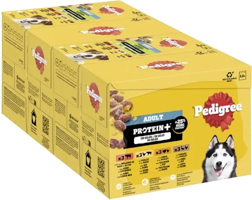 Pedigree Hund Portionsbeutel Protein Plus mit Stückchen in Gelee für ausgewachsene Hunde 4 x 12 x 85 g