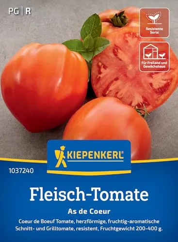 Kiepenkerl Fleisch-Tomatensamen As de Coeur 1037240 – Coeur de Boeuf Tomate - herzförmig - fruchtig- aromatisch - Saatgut, Samen Gemüse, Gemüsepflanzen