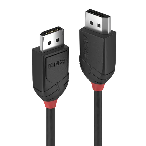 Lindy Black Line - DisplayPort-Kabel - DisplayPort (M) bis DisplayPort (M) - DisplayPort 1.2 - 1 m - Schwarz