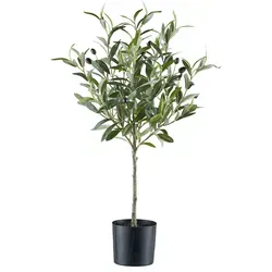 CREATIV green künstliche Pflanze Olivenstämmchen, 70cm - Künstliche Pflanzen für mediterranes Ambiente, täuschend echt mit detailgetreuen Blättern und Früchten. Ideal für Büros und Restaurants, pflegeleicht und langlebig.