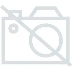 HP-Autozubehör 19232 Kofferraummatte mit Stoßstangenschutz, Schwarz - Kofferraummatte mit Anti-Rutsch Einsatz, schützt vor Schmutz und Nässe. Ideal für Haustierbesitzer mit Schlitzen für Hundeleinen. Praktischer Barriereschutz und diverse Taschen für Utensilien.