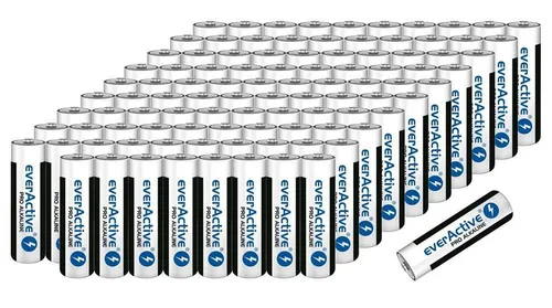 Everactive AA Mignon Batterien 2900 mAh 1,5 V HR06 100 x