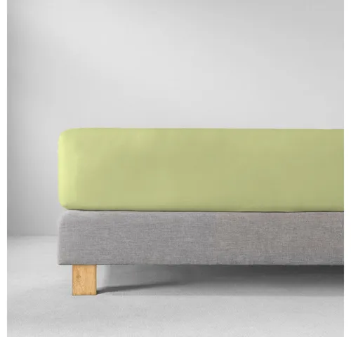 Estella Feinjersey Spannbetttuch 6500, 100 x 200 cm in Maigrün - Premium Betttuch aus Feinjersey für erholsamen Schlaf, farb- und formbeständig in deutscher Markenqualität – ideal für Ihr Schlafzimmer.