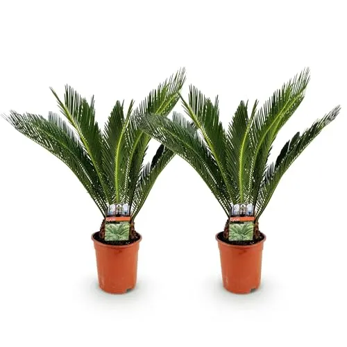 Produktbild Green boutiQ