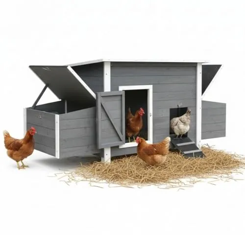 Melko Hühnerstall XXL – Robustes Hühnerhaus für bis zu 8 Tiere