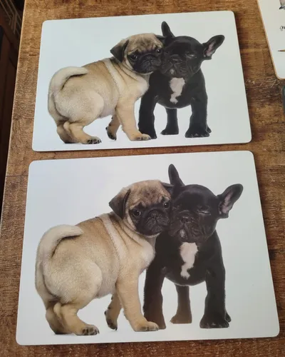 Große Tischsets für Hundeliebhaber in weiß von MM