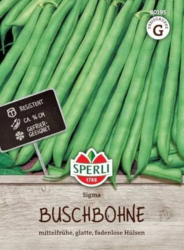 Sperli Buschbohnensamen Sigma 80195 - mittelfrühe, glatte, fadenlose Hülsen - Inhalt für 4 bis 5 laufende Meter - Samen Gemüse, Gemüsesamen, Saatgut