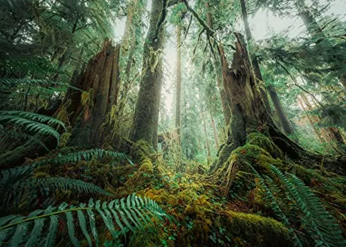 Ravensburger Puzzles von Ravensburger