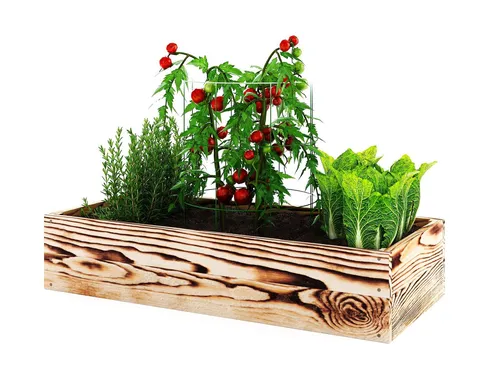 Lermowoood Hochbeet aus Holz 40x40x20 cm Geflammt – Pflanzkasten für Gemüse & Kräuter – mit Agrovließ – steckbar & stapelbar- Aussenbereich ideal für Garten, Balkon & Terrasse