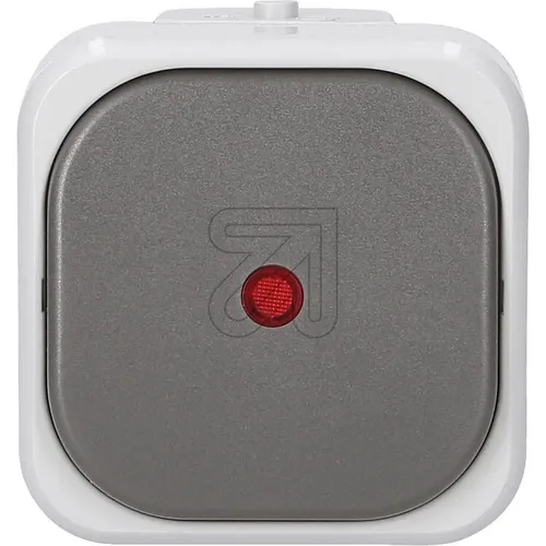 Aquatop Aufputz Kontrollschalter mit Glimmlampe Düwi Rev Ritter AP Grau IP44