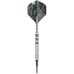 Target Chris Dobey 90% Softdarts von traget-deutsch