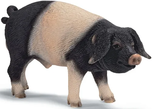 GW3483 Schleich 13643 Schwäbisch-Hällischer Eber