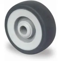 CASCOO Rad ø 50 mm Serie P2T2 Gleitlager Edelstahl