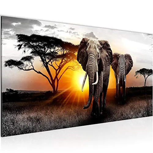 Runa Art Wandbild Afrika Elefant 1 Teilig 100 x 40 cm Modern Bild auf Vlies Leinwand Panorama Wohnzimmer Schlafzimmer Grau Orange 007612a