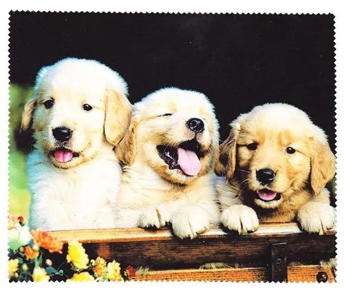 Microfasertuch - 3 HUNDE - Brillenputztuch - Putztuch - Brillenreinigung | NEU