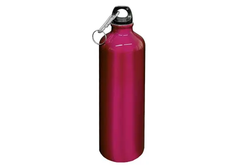 HAC24 Trinkflasche Aluminium Wasserflasche Alu Sportflasche Fahrradflasche Aluflasche, 0,75l, mit Karabiner