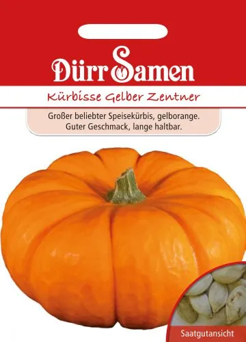 Dürr-Samen - Kürbis Gelber Zentner Saatgut