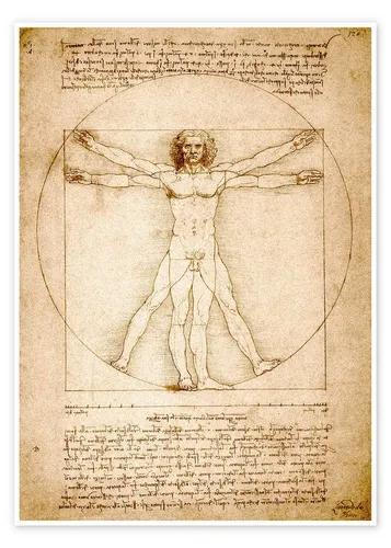 Posterlounge Wandbild Vitruvianischer Mensch, Leonardo da Vinci, erhältlich als Poster, Leinwandbild, Wandsticker oder Acrylglasbild