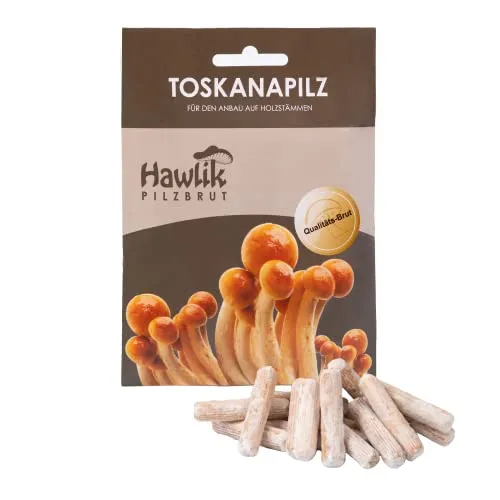 Pflanzen Beige von Hawlik Pilzbrut