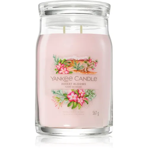 Desert Blooms Signature Large Jar 567g 2-Docht Kerze - Wunderschöne Duftkerze für ein wüstenhaftes Ambiente, mit 2 Dochten für gleichmäßiges Abbrennen und intensiven Duft.