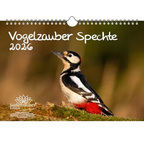Vogelzauber Spechte DIN A4 Kalender für 2026 Vogel - Seelenzauber