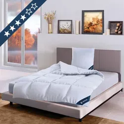 casimum Daunendecke 200x220 cm - Premium 4 Jahreszeiten Bettdecke - Bettdecken, allergikerfreundlich und nachhaltig produziert in Deutschland. Füllung aus 90% Daunen für optimale Wärme und Leichtigkeit, ideal für ganzjährige Nutzung.