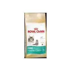 Produktbild Royal Canin Kitten Maine Coon 36