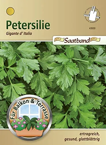 Petersilie Gigante `Italia Saatband für Balkon & Terrasse ertragreich gesung glattblättrig Schnittpetersilie 43930