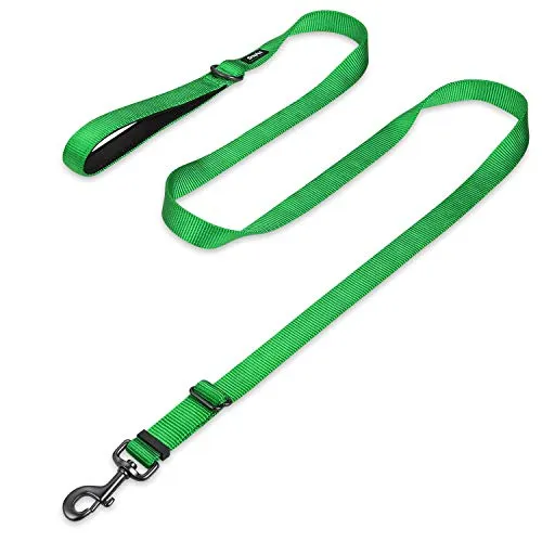 Hyhug 1,8 m Verstellbare Nylon Hundeleine mit weichem, gepolstertem Griff - Haltbare Leine mit einfachem Bolzkupplungsverschluss, ideal für große, mittlere und kleine Hunde (Groß, Limonengrün)