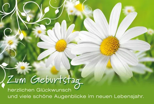 Geburtstag - Glückwunschkarte im Format 11,5 x 17 cm mit Briefumschlag