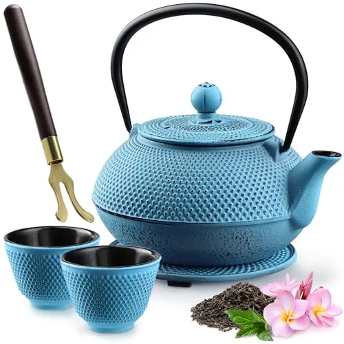 KADAX Japanische Teekanne 850ml aus Gusseisen – Stilvoll und langlebig