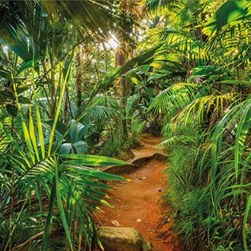 Komar Fototapete JUNGLE TRAIL 368 x 254 cm - Tapete für ein tropisches Wohnambiente, hergestellt aus umweltfreundlichem, FSC-zertifiziertem Material mit brillanten, lichtbeständigen Farben. Ideal für Wohnzimmer und Schlafzimmer.