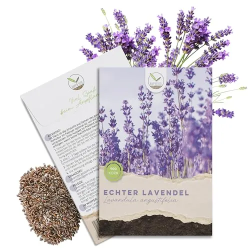 900x Lavendel Samen mit hoher Keimrate - Vielseitig einsetzbare Heilpflanze & ideal für Bienen und Schmetterlinge (inkl. GRATIS eBook)