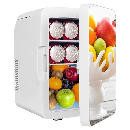 Puluomis Mini Kühlschrank 8L mit LED Spiegel