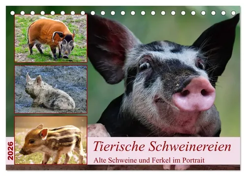 Claudia Kleemann | Tierische Schweinereien (Tischkalender 2026 DIN A5 quer),...