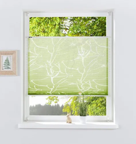 Jalousien & Rollos Grün von My Home
