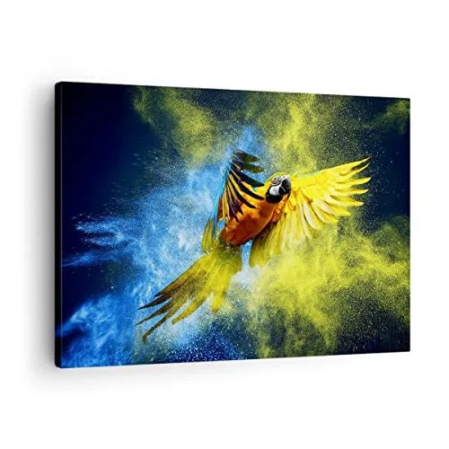 Bilder auf Leinwand Papagei Vogel Feder Leinwandbild mit Rahmen 70x50cm Wandbilder Dekoration Wohnzimmer Schlafzimmer Küche Deko Klein Wanddeko Bild Wand Kunstdruck Art Wall Decor Canvas AA70x50-3666