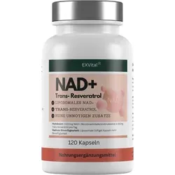 EXVital® NAD+, 1000mg NAD+ & 600mg Trans-Resveratrol pro Tag- 120 vegane Softgels - liposomal & maximale Bioverfügbarkeit, hochdosiert & laborgeprüft