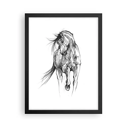 Poster Schwarzrahmen Pferd Galopp Tier Deko 30x40cm Wandposter Art Prints Wandbilder Dekoration Wohnzimmer Schlafzimmer Küche Wanddeko Bild Wand Kunstdruck Modern Wall Art Decor - P2BPA30x40-5080