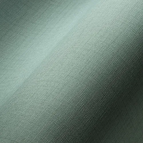 A.S. Création Livingwalls My Home My Spa Tapete Eukalyptus Grün Einfarbig Wohnzimmer 387129 Vliestapete 10,05x0,53m Made in Germany, 10,05m x 0,53m