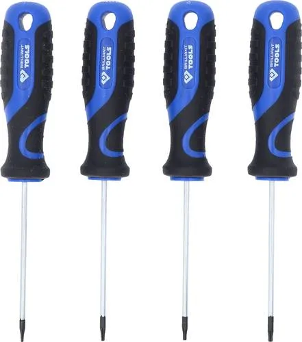 Brilliant Tools BT034004 Schraubendreher-Set