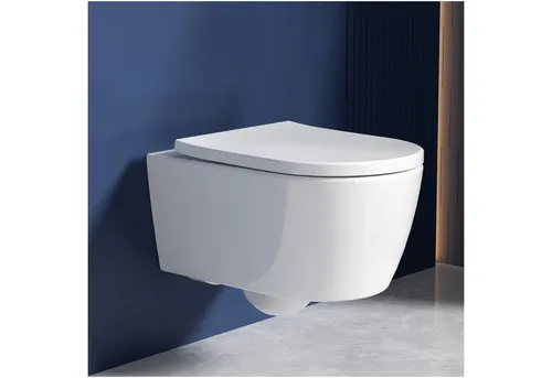 Rainsworth Hänge WC Spülrandlos Toilette - Sanitäranlagen & Zubehör - Starke Spülung mit 360° Wasserstrahlen für stets saubere Toilettenschüssel und leiser WC-Sitz mit Absenkautomatik.