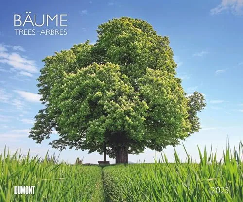 DUMONT - Bäume 2025 Wandkalender, 60x50cm, Fotokunst-Kalender mit Aufnahmen prächtiger Bäume, Abbildungen von Naturschönheiten aus aller Welt, mit Spiralbindung